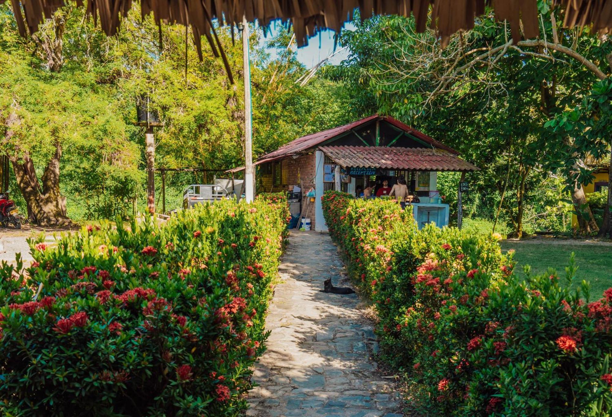 Jaba Jan Hostal Palomino Exterior foto